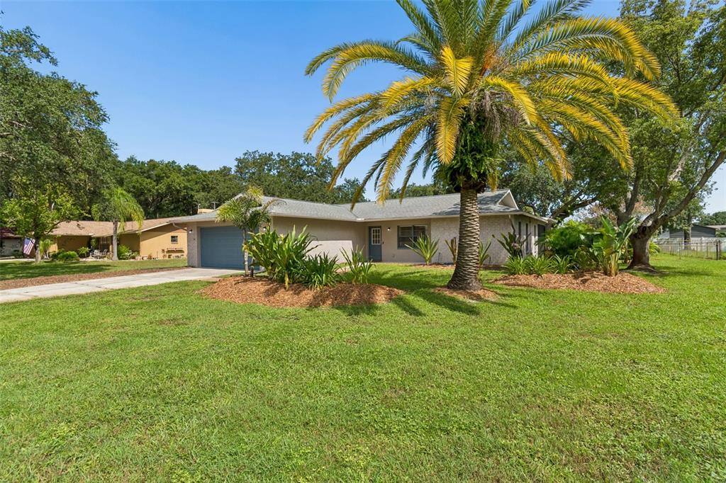 A single-story house with a grey garage door, a large palm tree, and landscaped beds — 9329 AMAZON DRIVE, NEW PORT RICHEY, FL