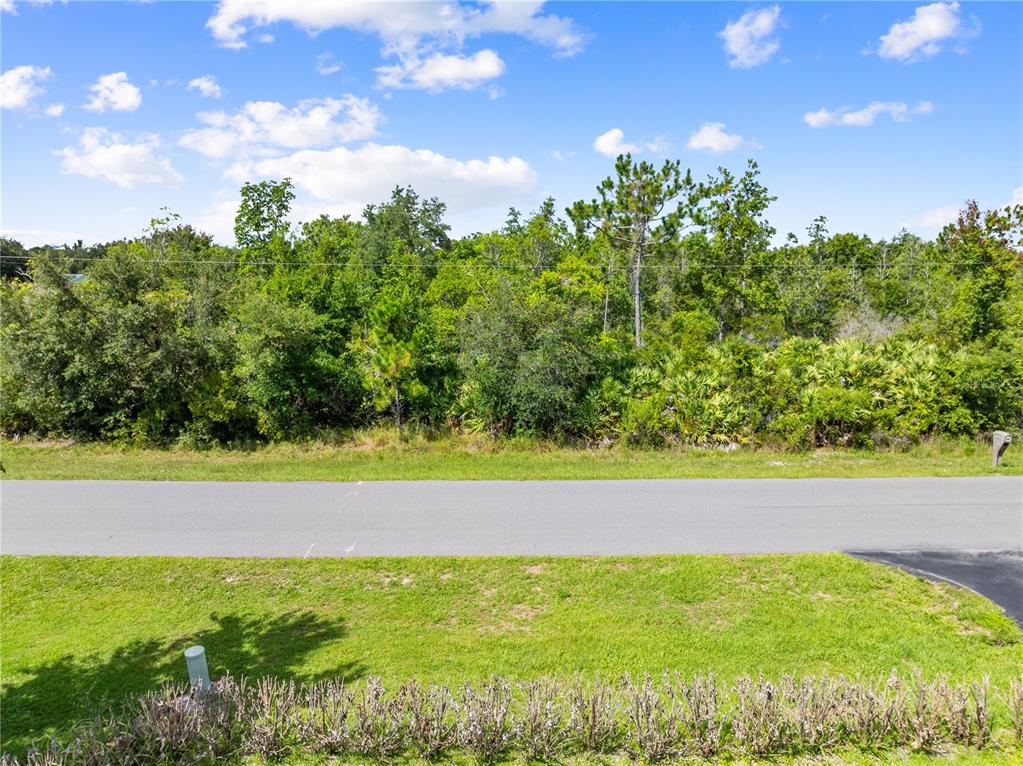 A paved road separates a grassy foreground from a dense line of trees and vegetation — 2240 BRONCO DR, ST CLOUD, FL