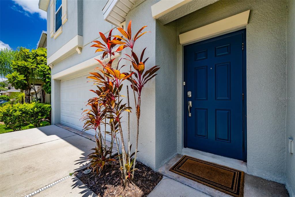 A blue front door sits next to a garage and a tall, colorful tropical plant — 16712 MYRTLE SAND DRIVE, WIMAUMA, FL