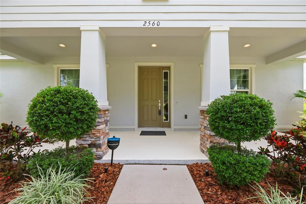 2560 GRASMERE VIEW PARKWAY S, KISSIMMEE, FL — photo 2 of 48
