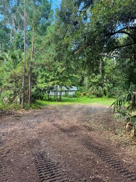 A dirt path with tire tracks leads toward a house nestled among trees and foliage — 155 PARSONS ROAD, LONGWOOD, FL