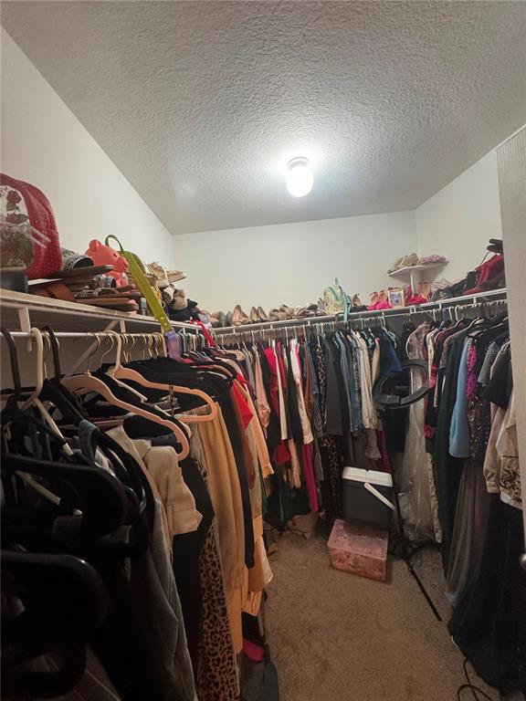A walk-in closet features carpeted flooring, white walls, and wire shelving filled with hanging clothes — 7023 57TH TERRACE E, PALMETTO, FL