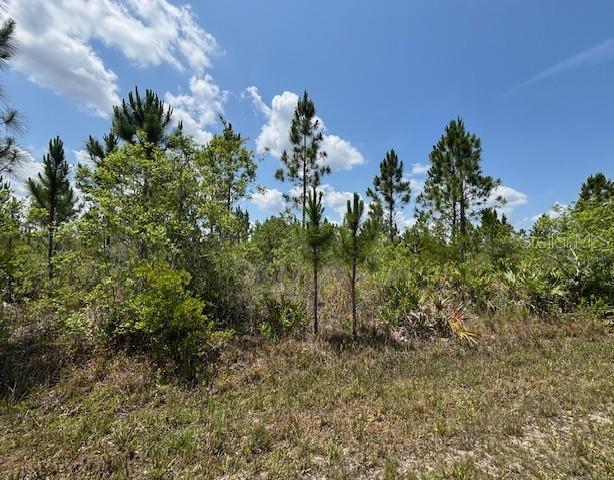 1015 CALLIANDRA DRIVE, INDIAN LAKE ESTATES, FL — photo 2 of 13