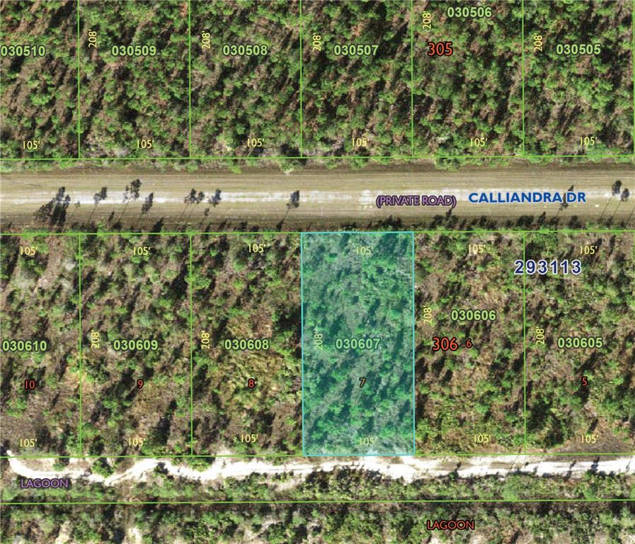 1015 CALLIANDRA DRIVE, INDIAN LAKE ESTATES, FL — photo 3 of 13