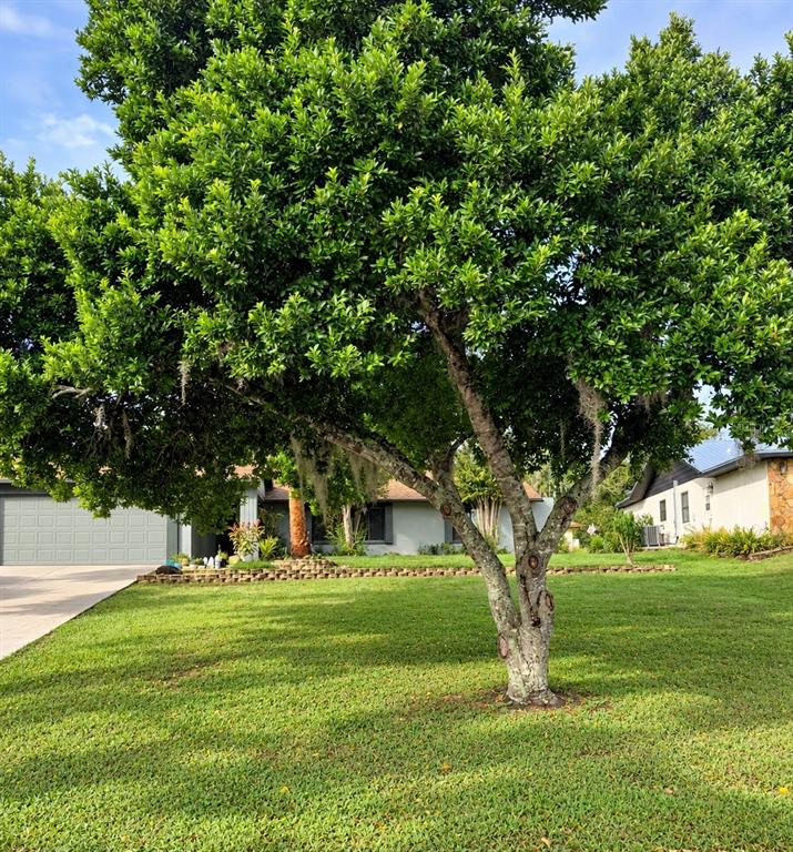 8664 HEATHER BOULEVARD, WEEKI WACHEE, FL — photo 2 of 20