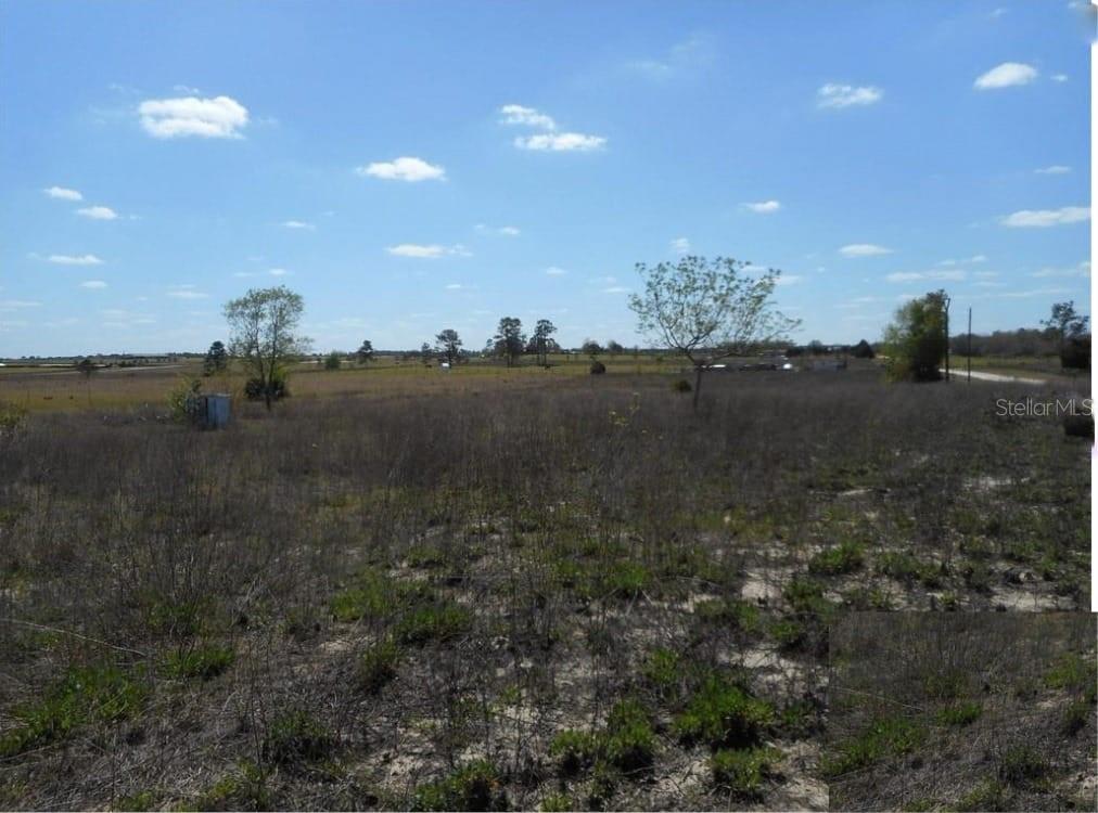 A wide, grassy, undeveloped lot under a bright blue sky with scattered clouds — 11790 NE 30TH STREET, BRONSON, FL