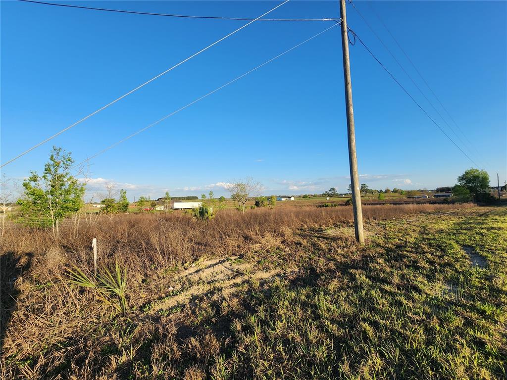 A large, grassy, and brush-covered vacant lot under a clear blue sky — 11790 NE 30TH STREET, BRONSON, FL