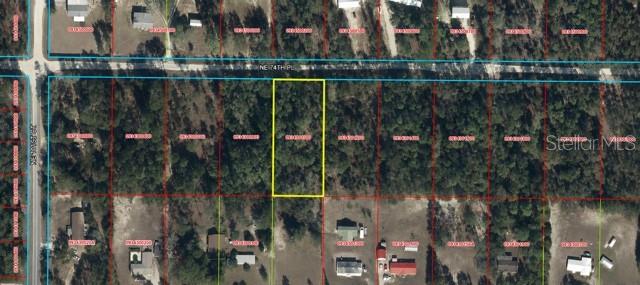 NE 74TH PLACE, BRONSON, FL — photo 2 of 3
