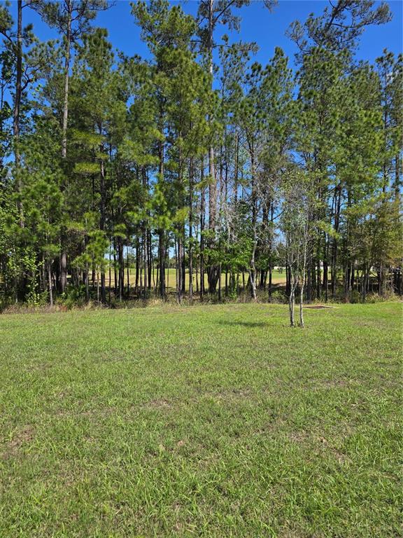 A grassy lot features a line of tall pine trees bordering a golf course fairway — 5058 DIANTHA WAY, BROOKSVILLE, FL