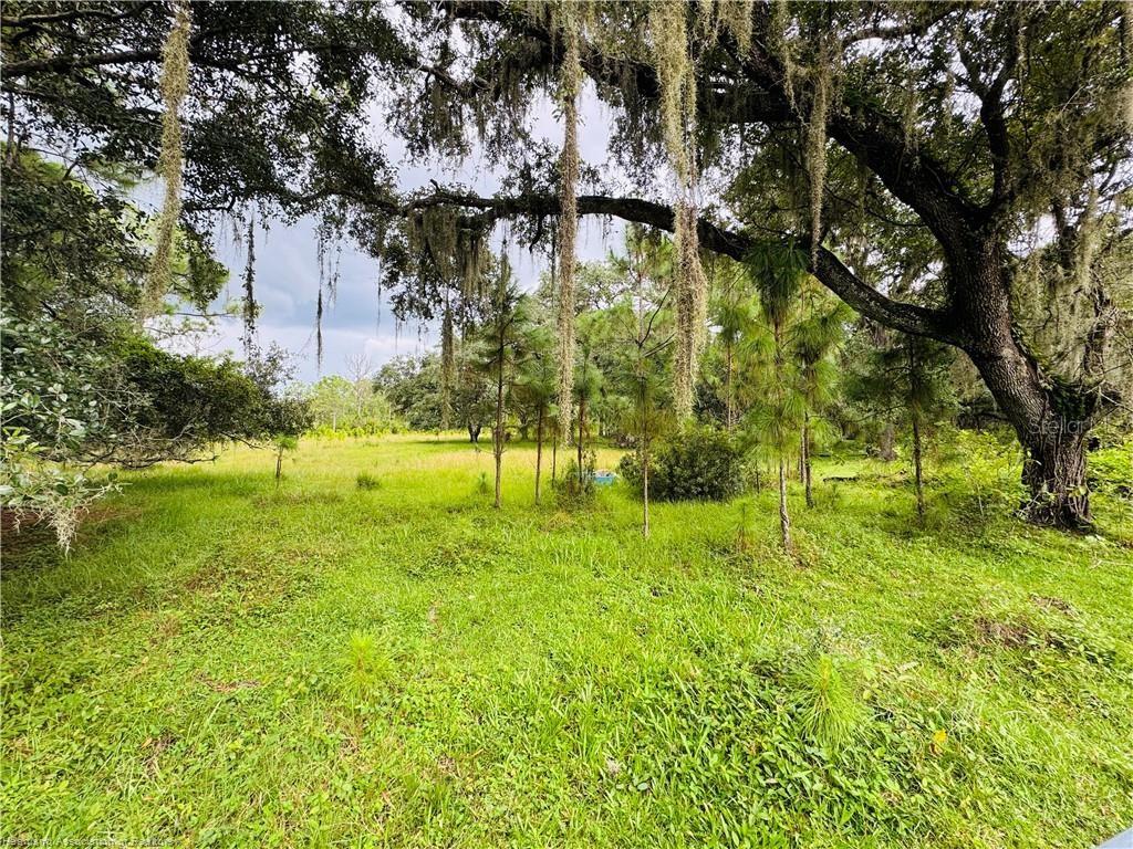 A grassy, wooded lot features large oak trees draped with Spanish moss — DETJENS DAIRY ROAD, VENUS, FL