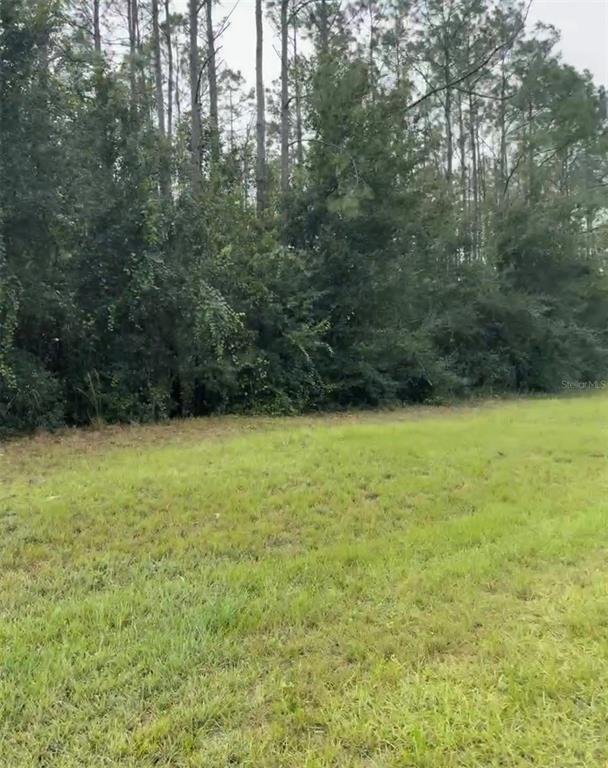 A grassy field sits in front of a dense line of tall pine trees — LAKE SMITH ROAD, UMATILLA, FL