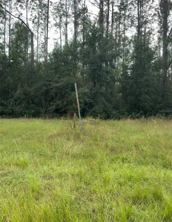 A grassy, undeveloped lot features a single utility pole and dense trees in the background — LAKE SMITH ROAD, UMATILLA, FL