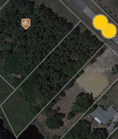 An aerial map view shows a rectangular, wooded plot of land bordering a road — LAKE SMITH ROAD, UMATILLA, FL