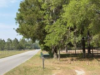 A rural road runs alongside a grassy lot shaded by large, moss-covered oak trees — 4760-A NW 55TH AVENUE, BELL, FL