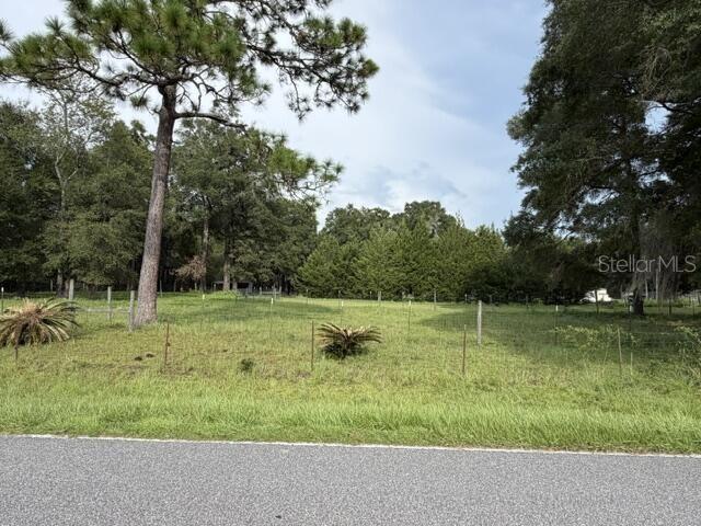 A grassy, fenced-in vacant lot is bordered by trees and a paved road — 4760-A NW 55TH AVENUE, BELL, FL