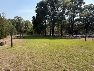 A grassy, open lot features scattered trees and a wire fence under a clear sky — 4760-A NW 55TH AVENUE, BELL, FL