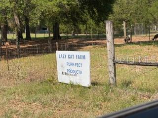 A sign for Lazy Cat Farm stands in a grassy field near a wooden fence — 4760-A NW 55TH AVENUE, BELL, FL