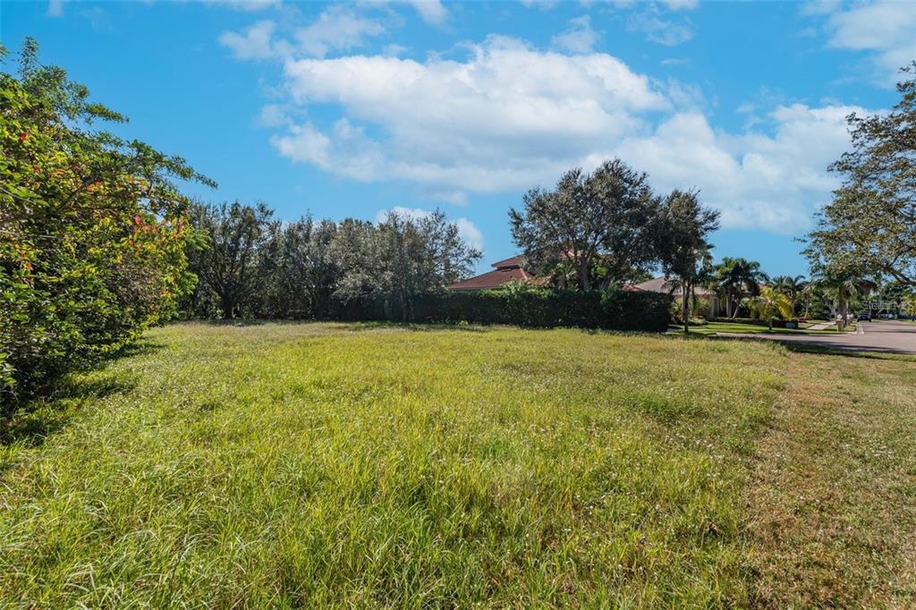 A grassy, undeveloped residential lot sits next to a paved road and mature trees — 5913 LA ROSA LANE, APOLLO BEACH, FL