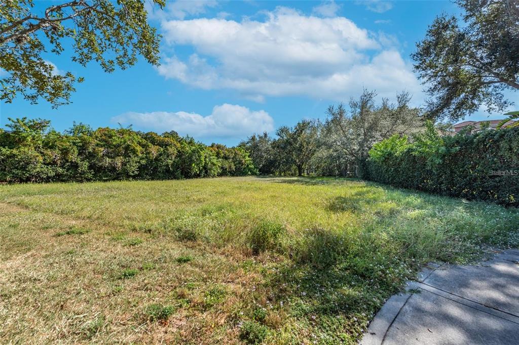 A grassy, vacant lot is surrounded by dense trees and hedges under a blue sky — 5913 LA ROSA LANE, APOLLO BEACH, FL