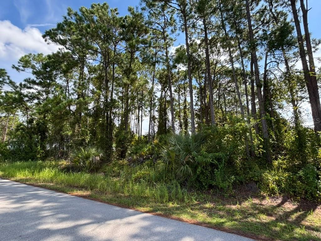457 HOLIN AVENUE SW, PALM BAY, FL — photo 4 of 6