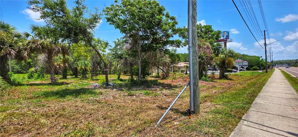 A vacant, partially wooded lot sits next to a sidewalk and a utility pole — 02-25-16-0000-00300-0042 STATE ROAD 52, HUDSON, FL