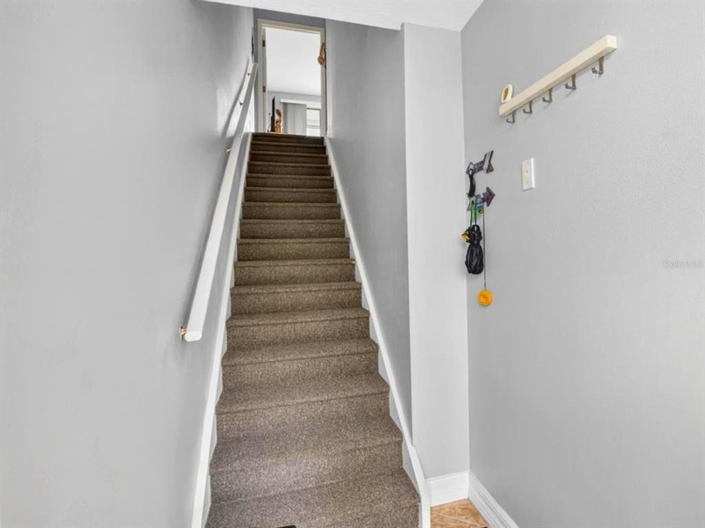 A carpeted staircase leads upward between two light gray walls with a coat rack — 3248 MANGROVE POINT DRIVE, RUSKIN, FL
