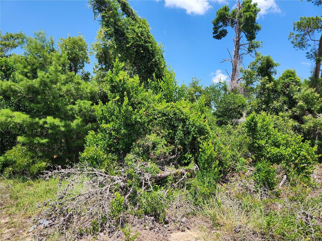 6241 MARINER BOULEVARD Lot 31