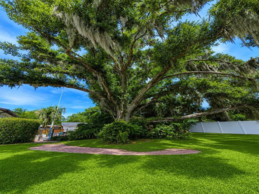 A large, moss-draped oak tree stands in a grassy backyard with a stone pathway — LAKE AVE, CLERMONT, FL