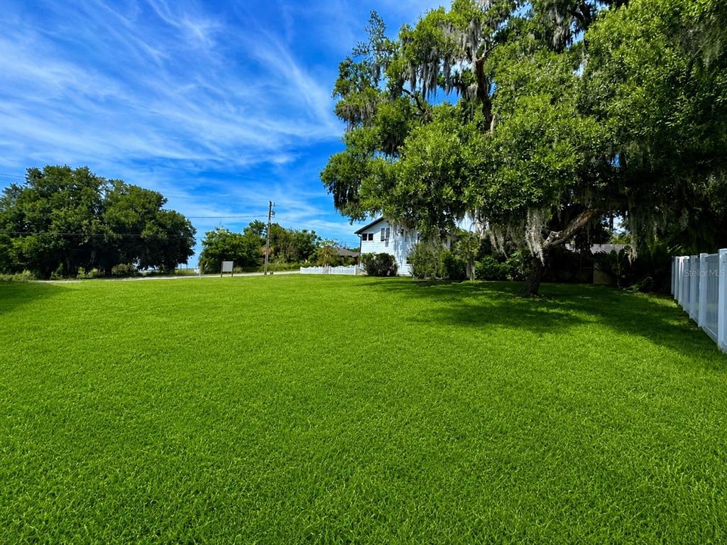 A large, grassy lot features a mature tree with Spanish moss and a white fence — LAKE AVE, CLERMONT, FL