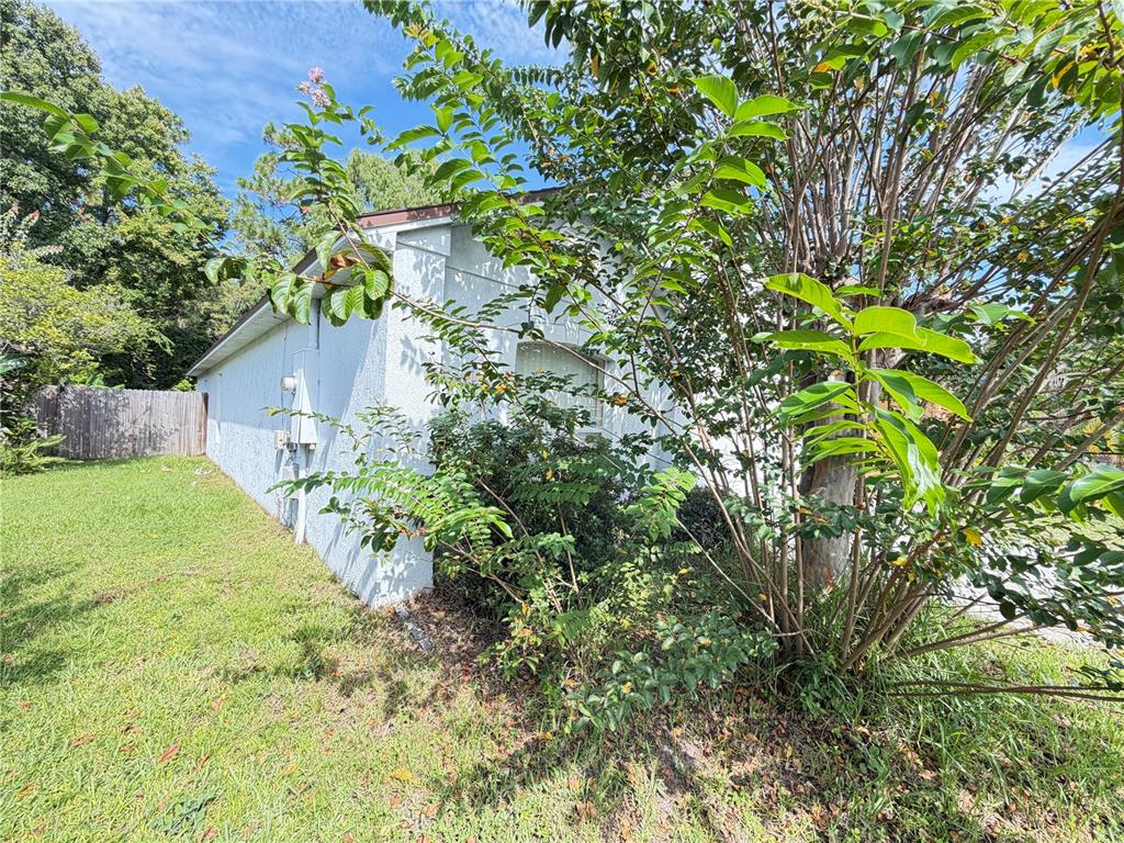 A view of the side of a white stucco house with a large tree nearby — 108 KAWILLA COURT, ORLANDO, FL