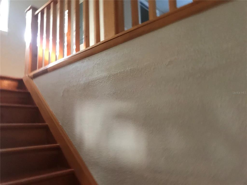 4107 ALAFIA BOULEVARD, BRANDON, FL — photo 2 of 9