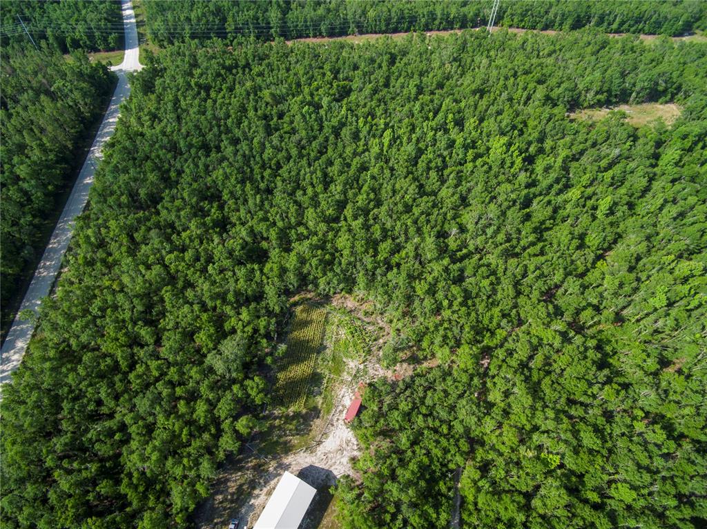 An aerial view shows a dense, green forest with a winding dirt path and road — 18233 185TH RD, LIVE OAK, FL