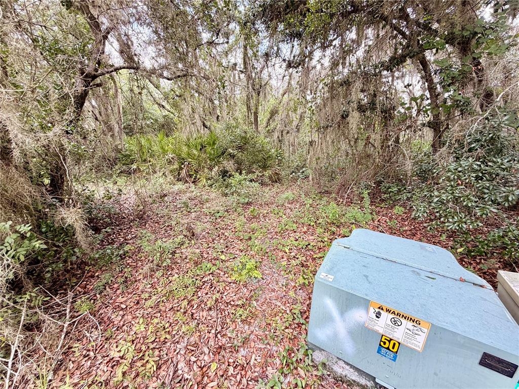 A wooded lot features a blue electrical transformer box in the foreground — 5717 SUN VALLEY DRIVE, SEBRING, FL