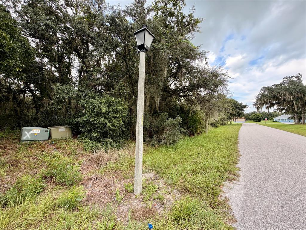 A street lamp stands on a grassy roadside next to utility boxes and wooded foliage — 5717 SUN VALLEY DRIVE, SEBRING, FL