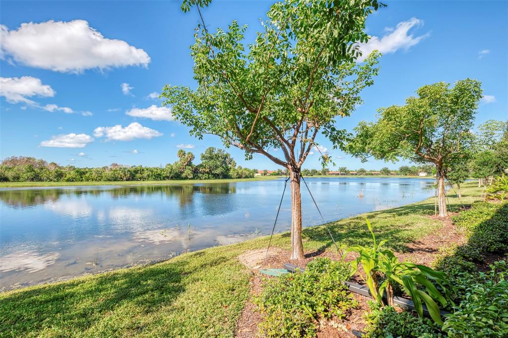 10205 STAGGERBUSH DRIVE UNIT 102, VENICE, FL — photo 4 of 64