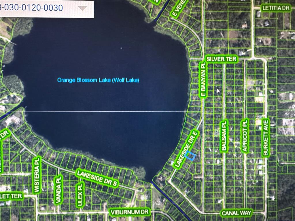 This is a satellite map showing a residential neighborhood bordering Orange Blossom Lake — 6710 LAKESIDE DRIVE E, SEBRING, FL