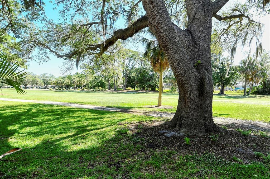 A large oak tree stands in the foreground of a grassy golf course fairway — 1877 TOUCAN WAY UNIT 400, SARASOTA, FL