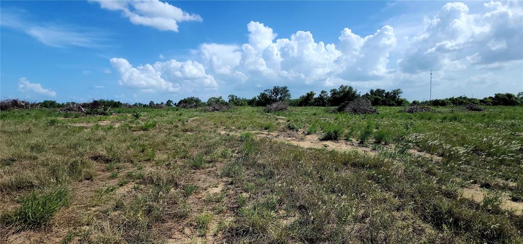 A wide, grassy field features scattered piles of brush under a bright, cloudy blue sky — 790 LAKE LOTELA DRIVE, AVON PARK, FL