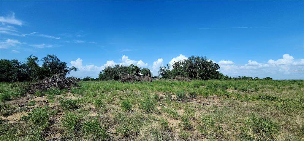 A wide, grassy field with scattered brush and trees under a bright blue sky — 790 LAKE LOTELA DRIVE, AVON PARK, FL