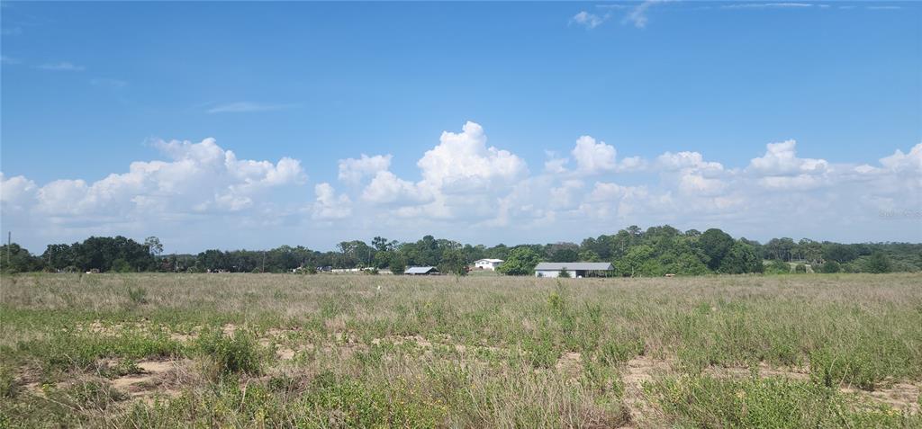 A wide, grassy field stretches toward a line of trees and distant houses under a sky — 790 LAKE LOTELA DRIVE, AVON PARK, FL