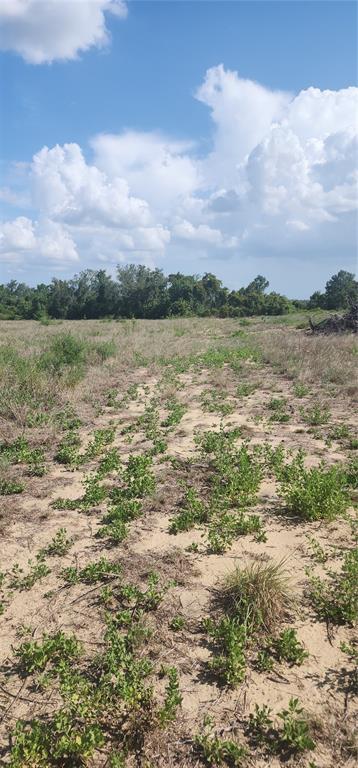 A wide, sandy field with sparse green vegetation leads toward a line of distant trees — 790 LAKE LOTELA DRIVE, AVON PARK, FL