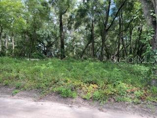 17411 NW 110TH AVENUE, ALACHUA, FL — photo 4 of 7