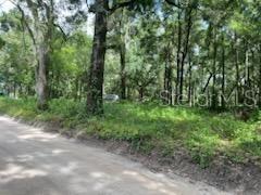 17411 NW 110TH AVENUE, ALACHUA, FL — photo 5 of 7