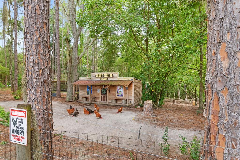 1164 KATIE WOOD TRAIL, BROOKSVILLE, FL — photo 4 of 30