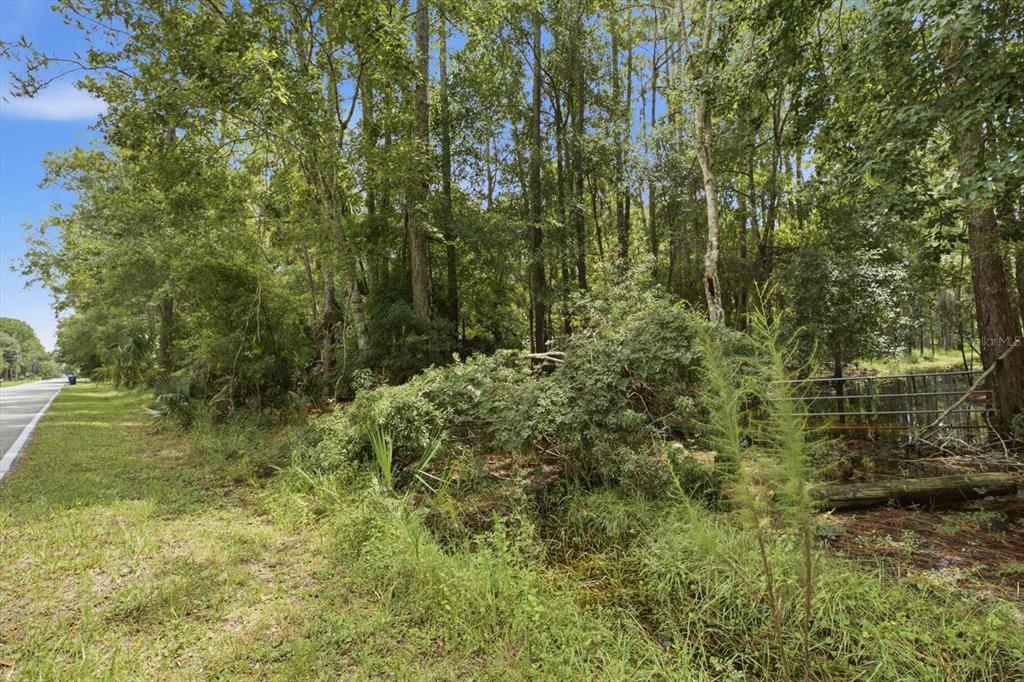 133 GREEN WILLOW RUN, WESLEY CHAPEL, FL — photo 3 of 9