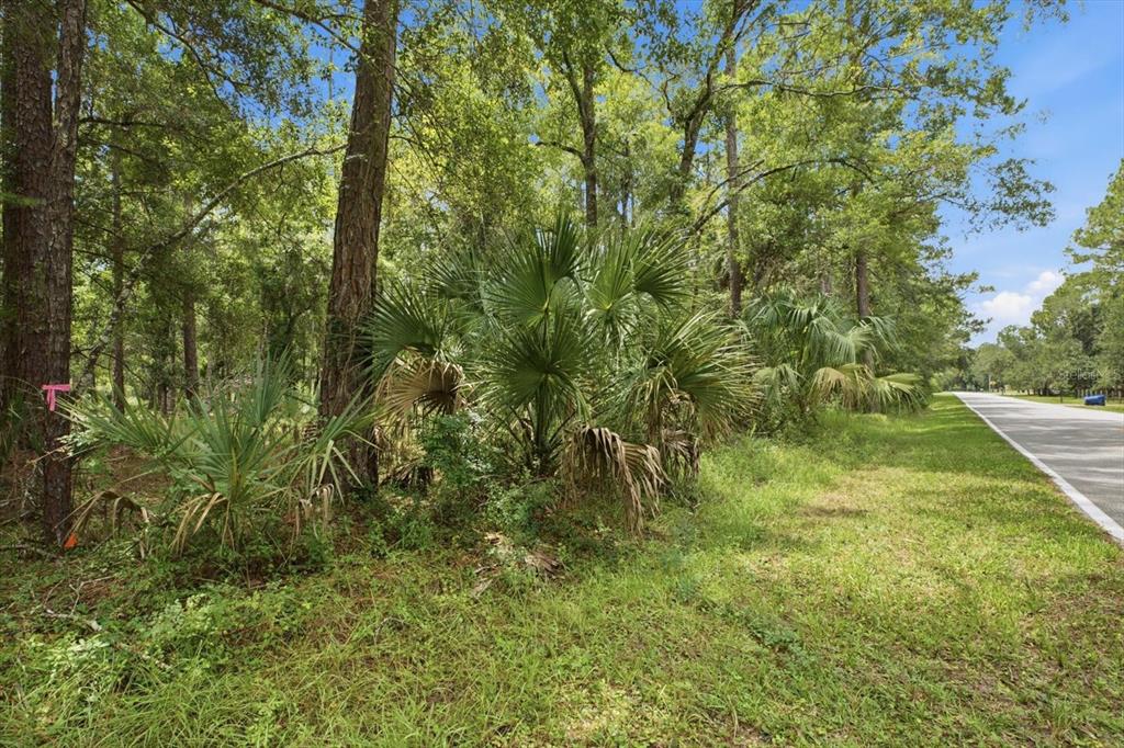 133 GREEN WILLOW RUN, WESLEY CHAPEL, FL — photo 4 of 9