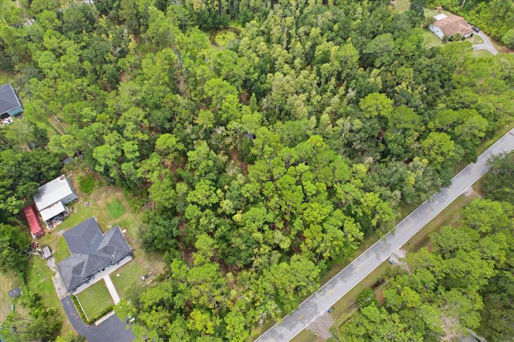 133 GREEN WILLOW RUN, WESLEY CHAPEL, FL — photo 5 of 9