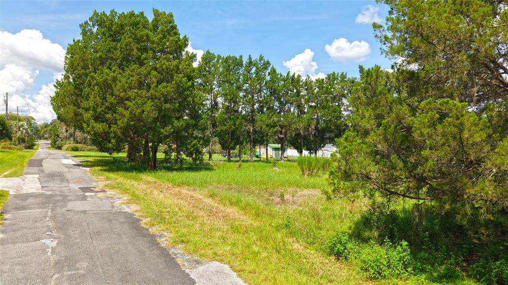 A paved road runs alongside a grassy lot bordered by a line of tall trees — 3577 E KIRBY LANE, INVERNESS, FL
