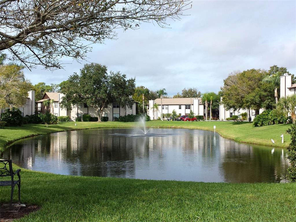 A pond with a fountain sits in front of apartment buildings surrounded by green lawns — 3773 59TH AVENUE W, BRADENTON, FL