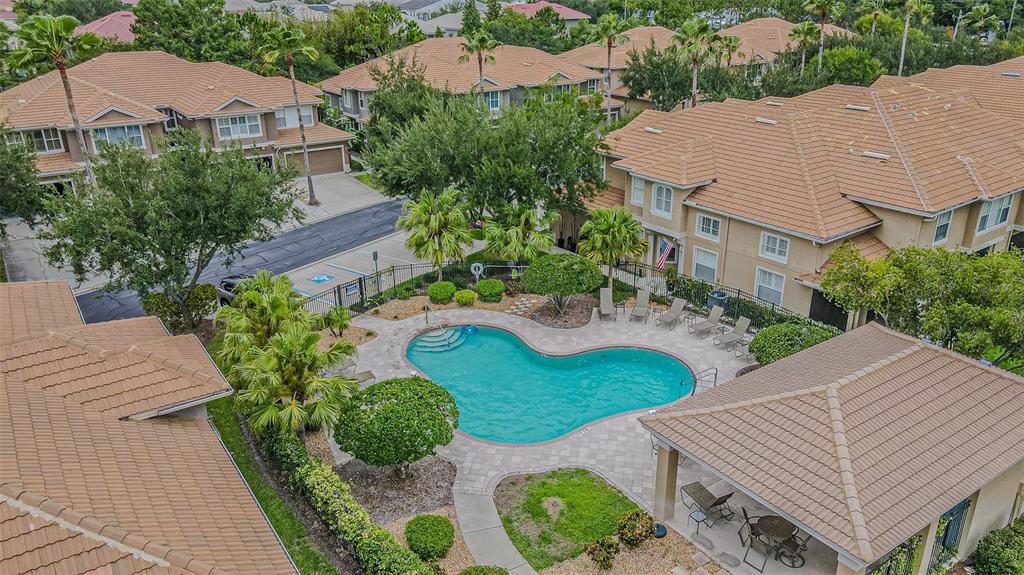 An aerial view shows a community swimming pool surrounded by townhouses and palm trees — 3331 COVERED BRIDGE DRIVE E, DUNEDIN, FL